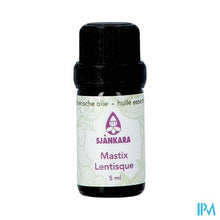 Load image into Gallery viewer, Sjankara Mastix Ess. Olie Bio 5ml
