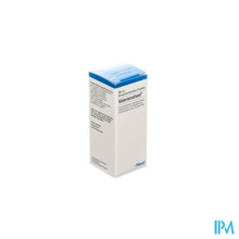 Afbeelding in Gallery-weergave laden, Valerianaheel Gutt 30ml Heel
