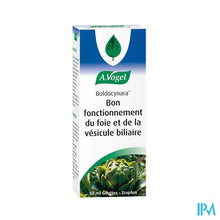 Load image into Gallery viewer, A.Vogel Boldocynara 50ml
