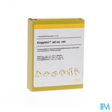 Afbeelding in Gallery-weergave laden, Engystol N Ad Us.vet Amp 5x5,0ml
