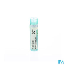 Afbeelding in Gallery-weergave laden, Conium Maculatum 7ch Gr 4g Boiron

