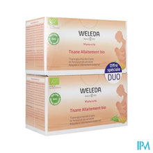 Load image into Gallery viewer, Weleda Borstvoedingsthee Bio Zakje 20x2g
