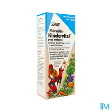 Load image into Gallery viewer, Salus Floradix Kindervital Elexir 250ml
