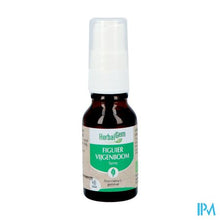Afbeelding in Gallery-weergave laden, Herbalgem Vijgenboom Bio Spray 15ml
