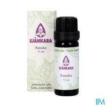 Load image into Gallery viewer, Sjankara Kanuka Ess. Olies 11ml
