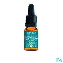 Afbeelding in Gallery-weergave laden, Ladrome Rode Kastanje/red Chestnut 10ml

