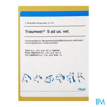 Load image into Gallery viewer, Traumeel S Ad Us.vet Amp 5x5,0ml
