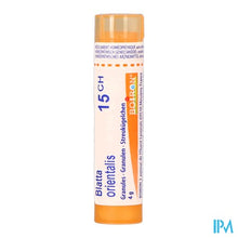 Afbeelding in Gallery-weergave laden, Blatta Orientalis 15ch Gr 4g Boiron
