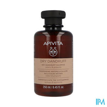 Load image into Gallery viewer, Apivita Shampoo A/roos Droog Haar 250ml
