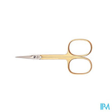 Afbeelding in Gallery-weergave laden, Nippes Huidschaar Verguld N805
