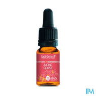 Ladrome Gaspeldoorn/gorse 10ml