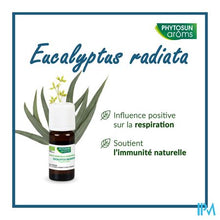 Afbeelding in Gallery-weergave laden, Phytosun Euc. Radiata Fr-bio-01 10ml
