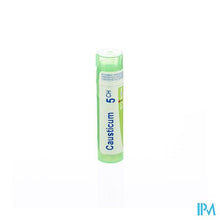 Afbeelding in Gallery-weergave laden, Causticum Hahnemanni 5ch Gr 4g Boiron
