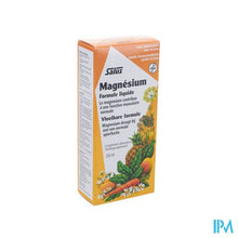 Load image into Gallery viewer, Salus Magnesium Elexir 250ml

