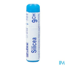 Load image into Gallery viewer, Silicea 9ch Gl Boiron

