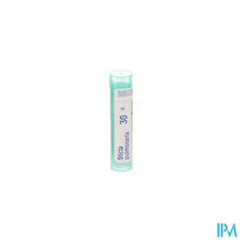 Load image into Gallery viewer, Sticta Pulmonaria 30k Gr 4g Boiron
