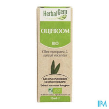 Afbeelding in Gallery-weergave laden, Herbalgem Olijfboom Maceraat 15ml

