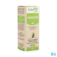 Afbeelding in Gallery-weergave laden, Herbalgem Wijnstok Maceraat 15ml
