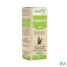 Afbeelding in Gallery-weergave laden, Herbalgem Olijfboom Maceraat 15ml
