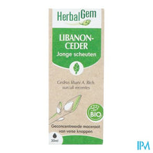 Afbeelding in Gallery-weergave laden, Herbalgem Ceder Bio 30ml
