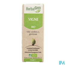 Afbeelding in Gallery-weergave laden, Herbalgem Wijnstok Maceraat 15ml
