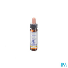 Load image into Gallery viewer, Healing Herbs Vine 10ml
