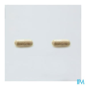 Probactiol Plus Blister Caps 60 Metagenics