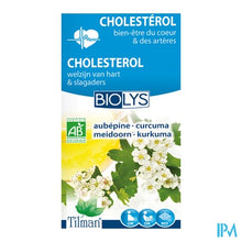 Afbeelding in Gallery-weergave laden, Biolys Meidoorn-kurkuma Bio Tea-bags 20
