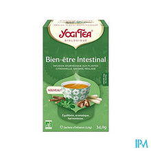 Afbeelding in Gallery-weergave laden, Yogi Thee Natural Balance Bio Sach 17
