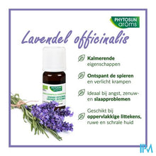 Afbeelding in Gallery-weergave laden, Phytosun Lavendel Off. Fr-bio-01 10ml
