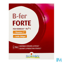 Load image into Gallery viewer, B-ijzer Forte Caps 90
