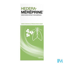Load image into Gallery viewer, Hedera-mereprine Siroop 150ml
