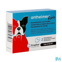 Load image into Gallery viewer, Anthelmex Forte Kauwtabl. Hond 2
