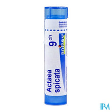 Afbeelding in Gallery-weergave laden, Actaea Racemosa 9ch Gr 4g Boiron
