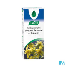 Afbeelding in Gallery-weergave laden, A.Vogel Solidago Complex 50ml
