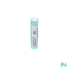 Load image into Gallery viewer, Antimonium Tartaricum 30k Gr 4g Boiron
