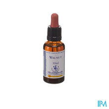 Afbeelding in Gallery-weergave laden, Healing Herbs Walnut 30ml
