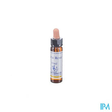 Load image into Gallery viewer, Healing Herbs Rock Rose 10ml
