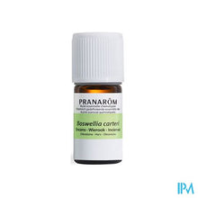 Afbeelding in Gallery-weergave laden, Pranarom Wierook Oliban Somalie 5ml
