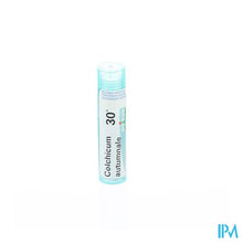 Afbeelding in Gallery-weergave laden, Colchicum Autumnale 30k Gr 4g Boiron
