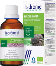 Afbeelding in Gallery-weergave laden, Ladrome Raphanus Sativus Var. Niger/rammenas 50ml
