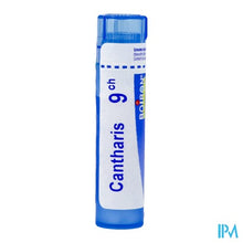 Afbeelding in Gallery-weergave laden, Cantharis 9ch Gr 4g Boiron

