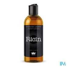 Load image into Gallery viewer, Lpbp Shampoo Ricin 200ml
