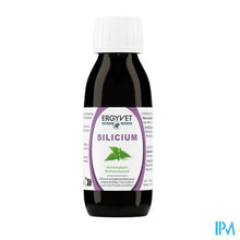 Load image into Gallery viewer, Ergyvet Silicium Fl 100ml
