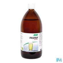 Load image into Gallery viewer, A.Vogel Molkosan Original 1000ml
