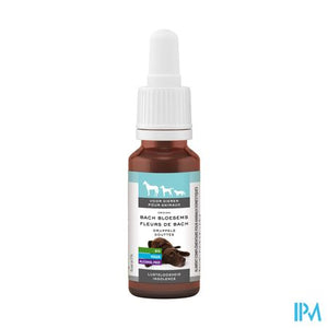 Bachbloesem Dieren Lusteloosheid Druppels 20ml