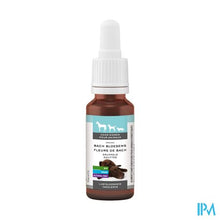Afbeelding in Gallery-weergave laden, Bachbloesem Dieren Lusteloosheid Druppels 20ml
