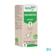 Afbeelding in Gallery-weergave laden, Herbalgem Vijgenboom Bio 30ml
