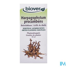 Afbeelding in Gallery-weergave laden, Duivelsklauw Tinct Bio 50ml Biov
