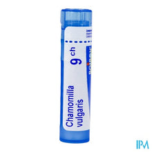Afbeelding in Gallery-weergave laden, Chamomilla Vulgaris 9ch Gr 4g Boiron
